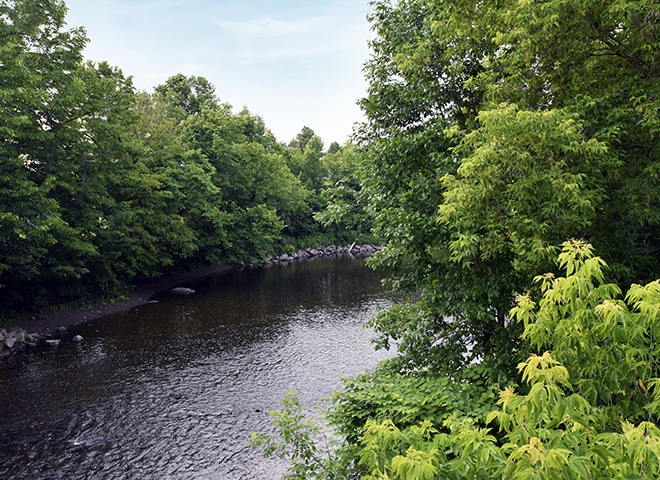 PontCouvert_Riviere_Foret